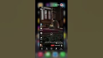 سوره الاسراء | القارئ فارس عباد