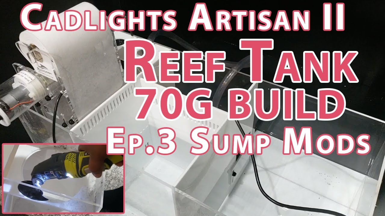 Ep.3 SUMP MODS Eshopps/Bubble Magus [Cad Lights 70g Artisan II Build]
