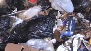 Dây truyền xử lý rác thải rắn, CÔNG NGHỆ XỬ LÝ RÁC THẢI SINH HOẠT VIỆT NAM