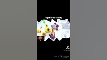 Agar.io teaming