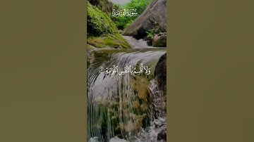 لا أقسم بيوم القيامة #سورة_القيامة #القيامة #قرآن #قرآن_كريم #راحة_نفسية #عبد_الباسط_عبد_الصمد