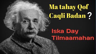 8 Tilmaan oo ay Wadaagaan Dadka Caqliga Badan