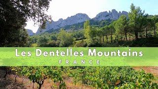 LES DENTELLES OF FRANCE