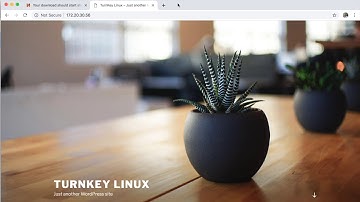 WORDPRESS + SNMP INSTALLATION IN TURNKEY LINUX