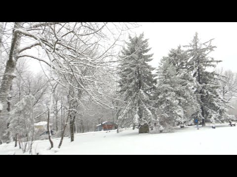 Kommentár Nélkül -