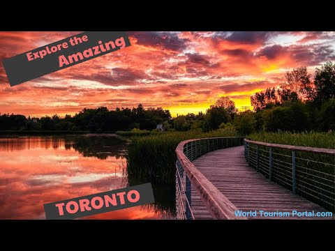 Top things to do and see in Toronto, Canada! | Toronto travel guide | World Tourism Portal