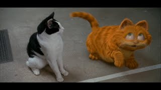 Garfield (2004) - prison break