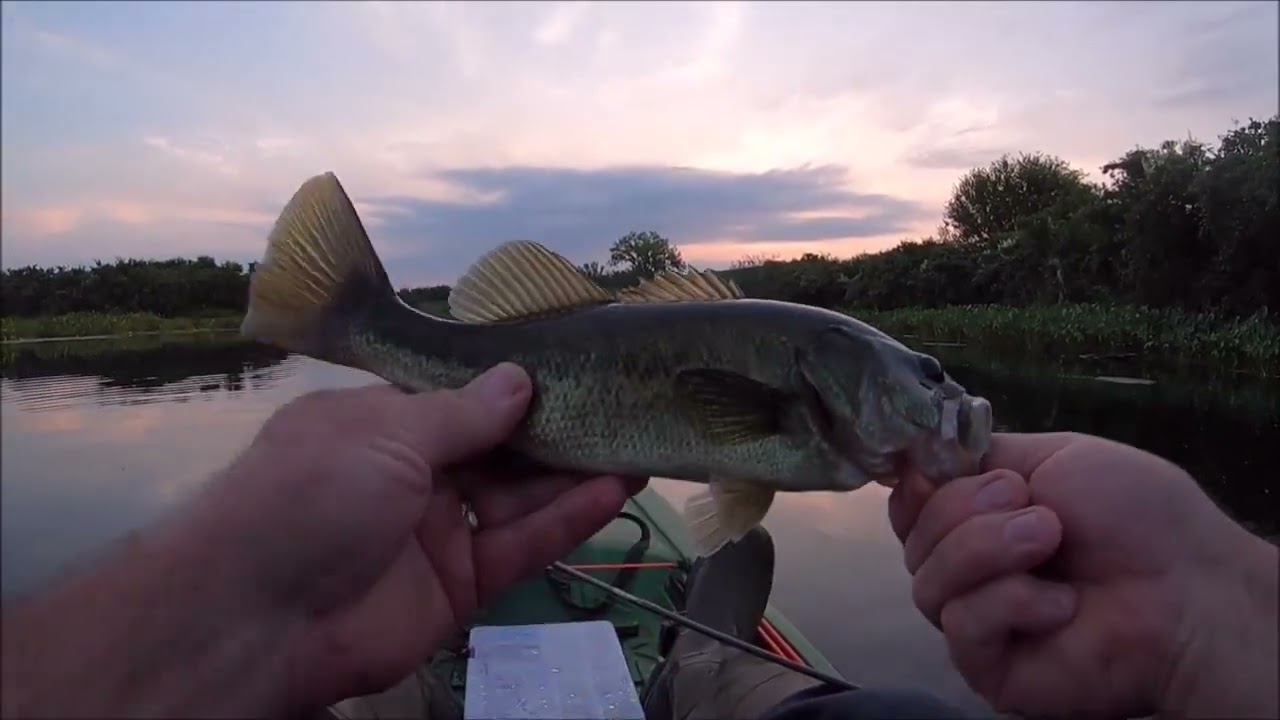 Iowa Bass Fishing 08/24/2024 with Pelican Catch 100 Overview