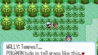 Celebrity Let's Play Pokemon Ruby Part 3: Wally gets his first pokemon Net Worth