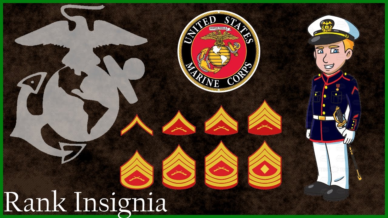 marine lieutenant insignia