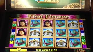 Thai Flower £500 Jackpot Win screenshot 1