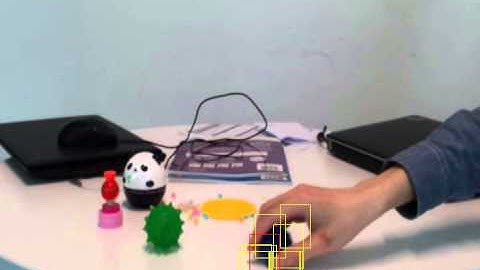 blueballmovement inertia weight pso tracking