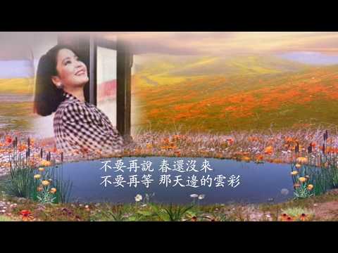 愛的開始   鄧麗君 / Teresa Teng