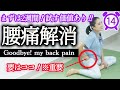 【毎日14分間】重たい腰がスッキリ爽快！腰痛解消や腰痛予防につながるヨガレッスン。まずは2週間試す価値あり！