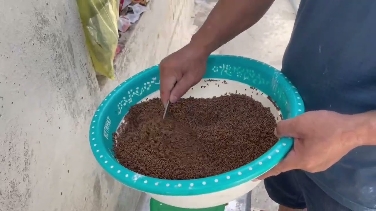 Trộn Thuốc Và Cho Ếch Con Ăn: Mẹo Dành Cho Người Nuôi