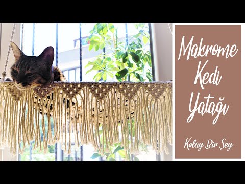 Video: Bir kedi hamak nasıl yapılır