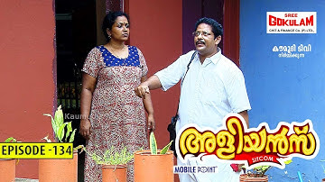 Aliyans - 134 | പെയ്ന്റിംഗ് | Comedy Serial (Sitcom) | Kaumudy