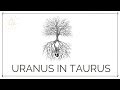 Uranus in Taurus | Live-Stream