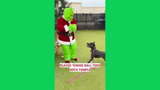 Holiday Visitor Tours HSSC by Humane Society of Sarasota County 55 views 4 months ago 1 minute, 44 seconds