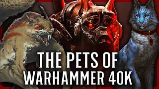 Celebrity What Pets Do People Own In Warhammer 40k Wealth