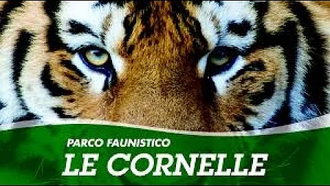 Quanto tempo ci vuole per visitare il Parco Le Cornelle?