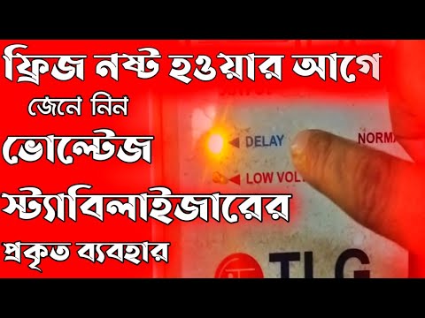 ভিডিও: ব্লিটস কি বককে আকর্ষণ করে?