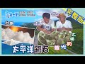 [ENG SUB] 台東 Taitung【太平洋"鹽"選鑽石 / 野炊夜探月光派對】│2020.09.20│《台灣第一等》完整版