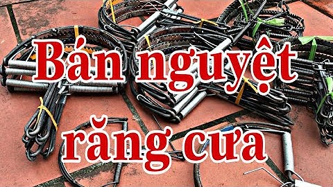 Bẫy bán nguyệt răng cưa phụ kiện bãy giá rẻ hiệu quả cao. 0865306790 - 0971016136