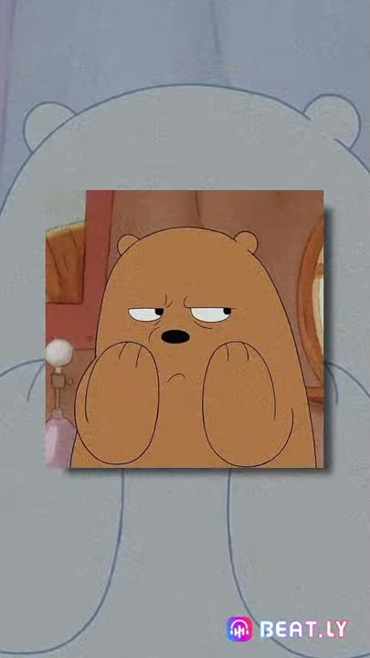Ccp Ccp bears bears