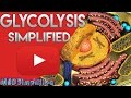 Glycolysis pathway made simple   biochemistry lecture on glycolysis