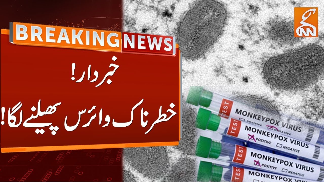 High Alert! Another Monkeypox Case Deducted In Pakistan | Breaking News | GNN