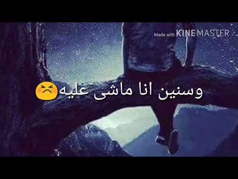 انا مش مضمون محمود العسيلي