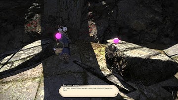 FFXIV A Nutty Initiation 1