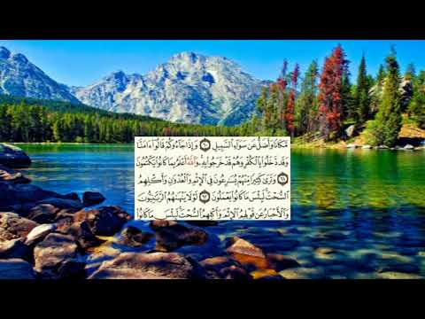 صفحة 118 Page سعد الغامدي سورةالمائدة Al Maidaa