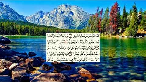 صفحة-118 page سعد الغامدي - -سورةالمائدة -Al-Maidaa