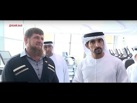 Video: Kronprinsen av Dubai Sheikh Hamdan: biografi, personlig liv