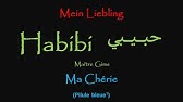 Maitre Gims Est Ce Que Tu M Aimes Deutsche Ubersetzung German Lyrics Youtube