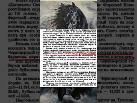 Черноморское побережье Кавказа . Справочная книга