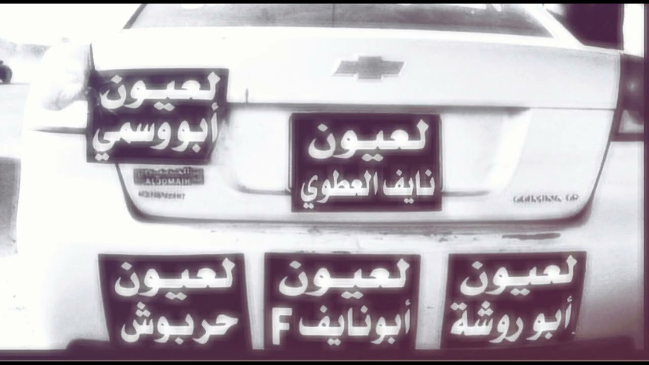 طا طا طفشانه / صدى فضي . لعيون العيال 