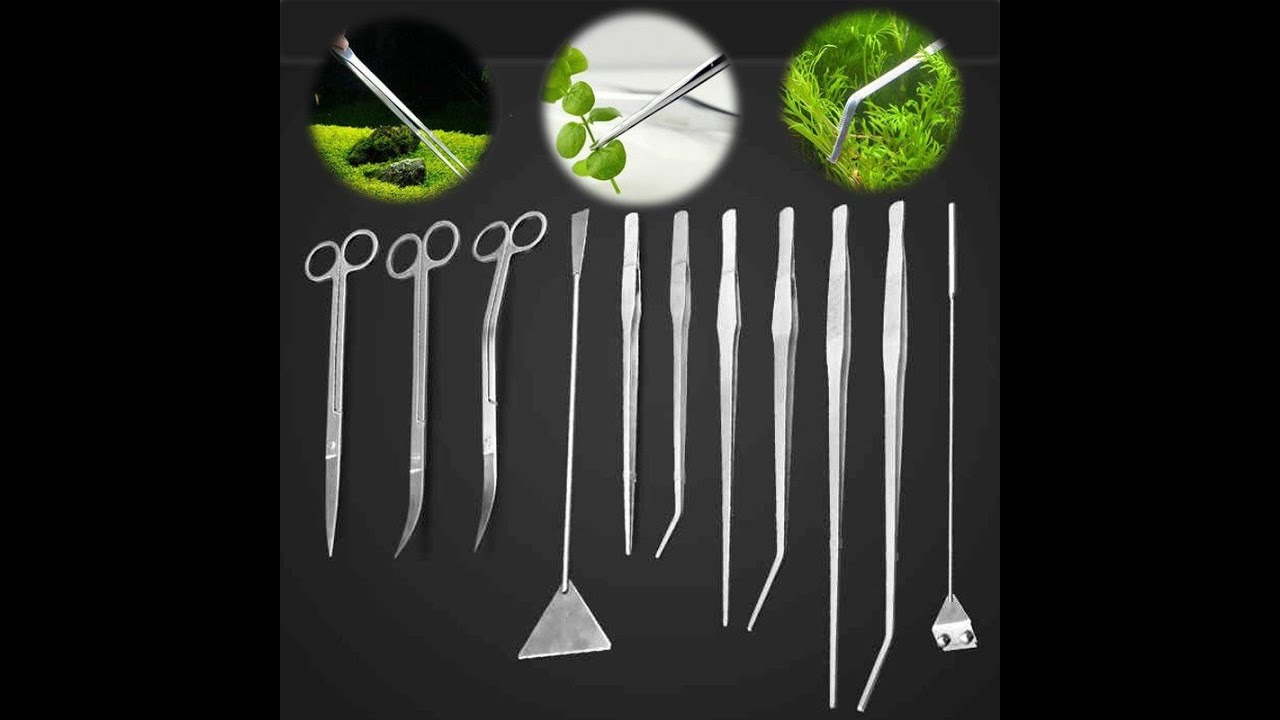Aquarium Tweezers & Spatula Aquascaping Tool, Hong Aquatic Shop, Aug 2025