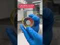Classroom Lab Short: pH Assay