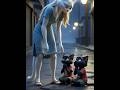 She Suffered in Silence… Then This Happened 💔➡️👑 #ai #aishorts #cat #catshorts #shortsviral