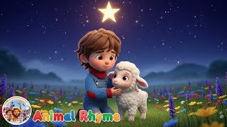 Twinkle Twinkle Little Star ✨🐑 | Lost Lamb & Magic Star Lullaby screenshot 5