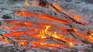 Burning a 50-Foot Brush Pile Down to Just Ashes - Homestead Cleanup Routine