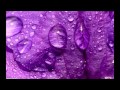 Chew Fu feat. Steve Clisby - Purple Rain (Mousse T's Home Alone Mix)