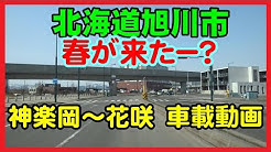 マサの夢チャンネル Youtube マサの夢チャンネル Youtube