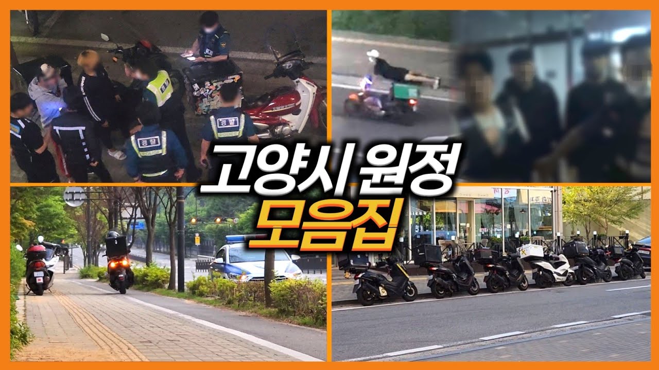 딸배헌터 고양대첩 몰아보기