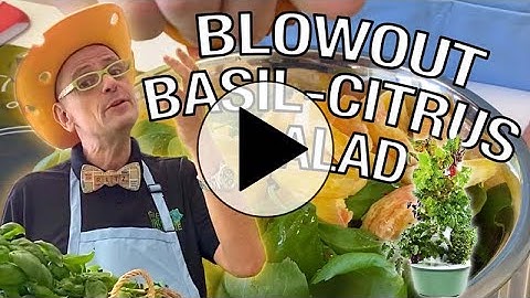 Mister Ritz Makes Blowout Basil Citrus Salad | Tower to Table to Tummy  | Kids Recipes
