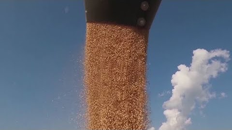 Trump announces $12B aid package for farmers to offset trade policies