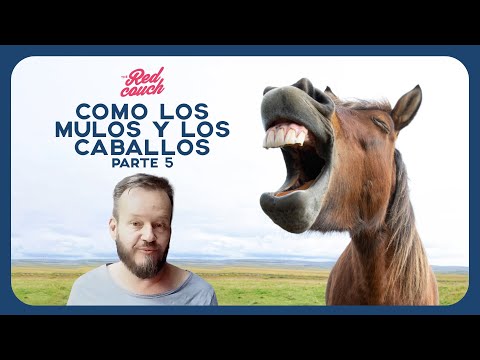 Como los mulos y los caballos, parte 5